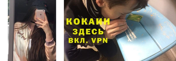 PSILOCYBIN Алексеевка